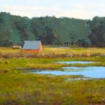 Pond