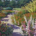 The Path Untaken