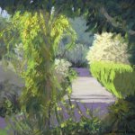 climbing-vine