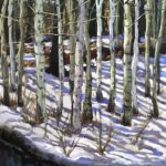 snowpatterns1.jpg