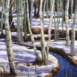 snowpatterns2.jpg