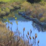 mitchell-road-pasture