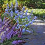 morninginthegarden.jpg