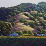Vineyard hill evening