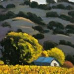 Last Light on the Vineyard