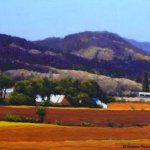 plowed-fields