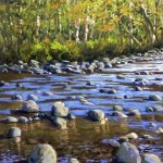riverrocks.jpg
