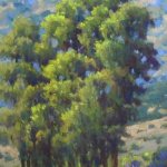 santa-barbara-hills
