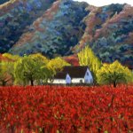 vineyardfarmhouseinfall.jpg