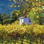 wine-country-afternoon