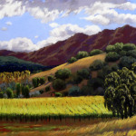 Northern Vines in Spring 2